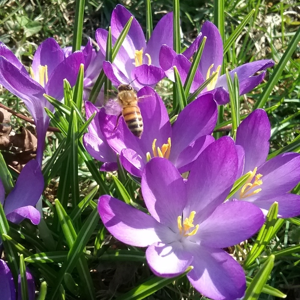 Meet your Posher, Danielle j.